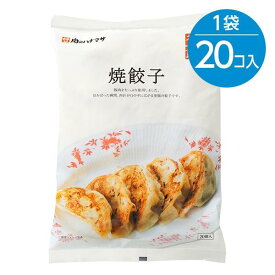 肉のハナマサ 焼餃子（30g×20個入）冷凍 国産 焼き餃子 水餃子 揚げ餃子 鉄板 ホットプレート お取り寄せ グルメ 簡単調理 本格中華 おかず おつまみ ビール サタデープラス サタプラ ひたすら試してランキング 冷凍餃子