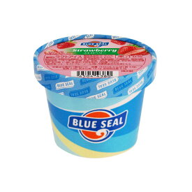 ブルーシールアイスクリーム ストロベリー 冷凍 110ml いちごアイス 定番 アイスクリーム