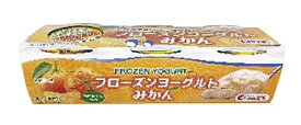 中央製乳 フローズンヨーグルト みかん 3個入り 冷凍 フローズンヨーグルト みかん 乳酸菌 ヘルシー さっぱり