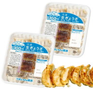 ぎょうざの満州 冷凍生餃子 家庭用 12個入×2パック タレ付き 冷凍 ぎょうざ 餃子 埼玉 お取り寄せ 秘密…