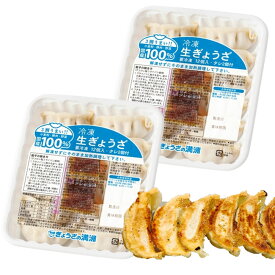 ぎょうざの満州 冷凍生餃子 家庭用 12個入×2パック タレ付き 冷凍 ぎょうざ 餃子 埼玉 お取り寄せ 秘密のケンミンショー