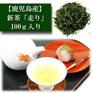 2025N V Y 100g uv  { Β ̗t  ݂̂鉀 Mtg v[g Green Tea ̎ Hp p qp F m E \ Ԓ