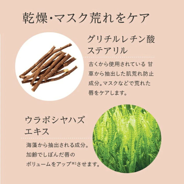 楽天市場】☆30日限定 P5倍&最大10%OFF☆【 公式 マキアレイベル 】ザ 