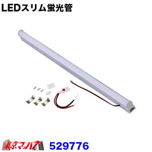529776@gbNpi@LEDXu P[Xt@DC12V/24Vy810mm/32Wz