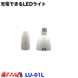 LU-01N　トラック用品　充電できるLEDライト 　昼白色