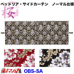 OBS-SA@xbhAETChJ[e- (m[}dl)1000×750
