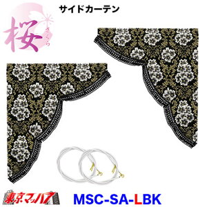 MSC-SA-L-BK@TChJ[e LTCY -@ubN