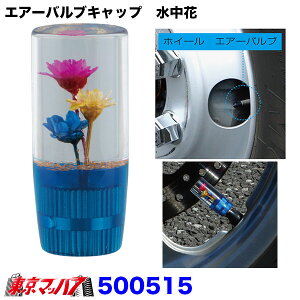 500515@GA[ouLbv@ԁ@u[ ėp^Cv GAouLbv gbNpi WFbgCmEG@1@|Xg@3S 