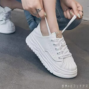 V[Y C Xj[J[ 3F  ۃgD EhgD  oCJ[ ҂ݏグ [XAbv CЂ  l ꂢ Vv JWA VbN RTo ؂₩ l 