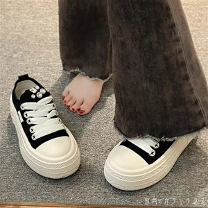 V[Y C Xj[J[ 3F  ۃgD EhgD A[hgD LL  oCJ[ ҂ݏグ [XAbv CЂ  rW[  l ꂢ Vv J