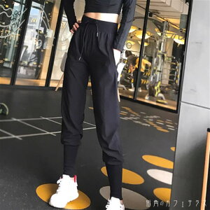 X|[cEFA pc WK[pc R Vv JWA X|[eB  n I[V[Y V[YX 30 40 fB[X p }} K tBbglX X|[c W