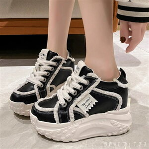 C V[Y 2F Xj[J[ fBCN 킢 l lq ꂢ Vv JWA l   Ȃꊴ t RTo X|[c CЂ oCJ[   
