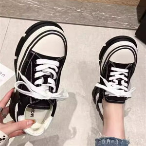 V[Y C Xj[J[ 3F  ۃgD EhgD oCJ[ ҂ݏグ [XAbv CЂ  l Vv JWA RTo l   Ȃꊴ t K[