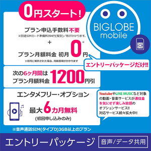 【メール便限定】BIGLOBE(ビッグローブ)モバイル エントリーパッケージ データSIM SMS機能付きデータ通信SIM 音声通話SIM【ネコポス送料無料】【smtb-u】【RCP】※※SIMカードは同梱されません※※ 格安SIM