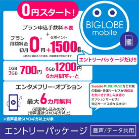 楽天市場 光回線 モバイル通信 通信事業者biglobeモバイル の通販