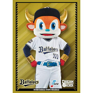 [[OK]yVizyTTACzX[uC HG Vol.4451uot@[uvv싅J[hQ[ DREAM ORDER[݌ɕi]