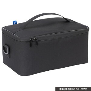 yVizyNS2HzCYBERE܂Ƃ߂Ď[obO iSwitch2^Switchpj ubN[񂹕i]