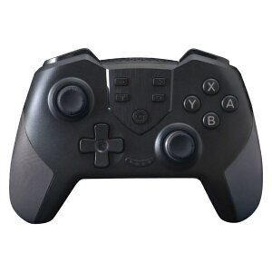 yVizyNS2zSwitch2pCXRg[[K} ubN[񂹕i]