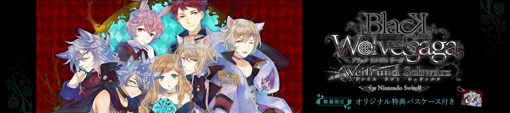 BLACK WOLVES SAGA