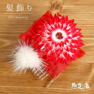 _X[p[SALEJÒ^ʉiIuv@iR[j- ܂݃}{[R[iAJ/106-181-001-45j-  r[Y e { t@[ u[`  wA[ANZT[ yz