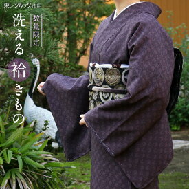 新入荷！【数量限定】街着屋ノ“洗える”袷きもの - 小紋・荒磯文様（古代紫）- 安心の日本製 東レシルック使用 洗濯機で洗える ウォッシャブル パープル お洒落着 仕立て上がり レディース 女性用【あす楽】【紫】【新品】