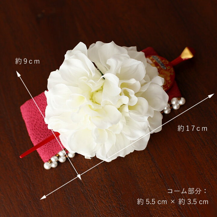 楽天市場】＼2点で3％OFFクーポン／訳あり特価＆送料無料[数量限定] 髪  