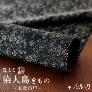 _BLACK FRIDAYJÒ^Vi[[VbN×] 哇 􂦂钅 ԕHTb (×ItzCg) {  ubN ԕ  VbN VN P   HD  JWA 哇  