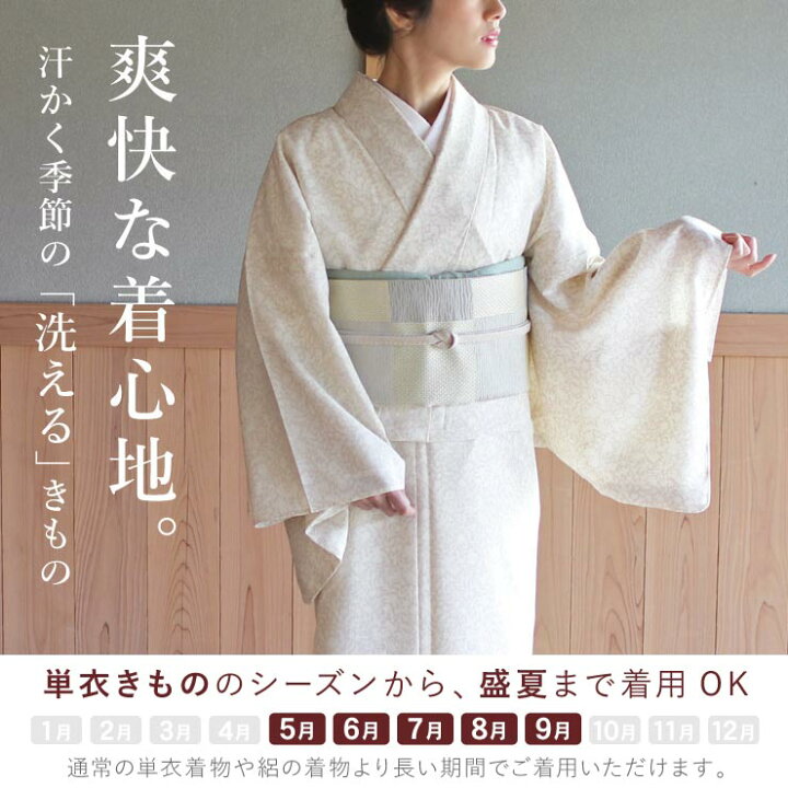 新品 絽 古今 荒川 さんび セオアルファ セオα 浴衣 あじさい 夏着物 