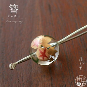 [  ] ʂ񂴂  (NA) 8404-8    t[  ėp   G { Vv wAANZT[ Mtg v[g P   䂩 JWA