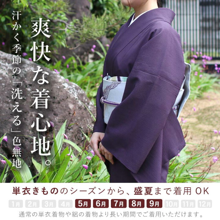 楽天市場】[人気商品再入荷！] 着物 単衣 色無地 楊柳セオα 濃紫色 M L 