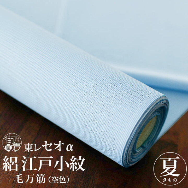 楽天市場】＼最大2000円クーポン／涼しい夏きもの [洗える着物 絽 江戸 