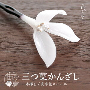 [ ] {} Ot񂴂(F/p[/1171-1600-010)  A {^jJ   zCg  ėp  Vv wAANZT[ P   䂩 JWA t