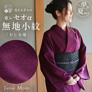 _2_3OFFN[|^[P Ă] 􂦂  P ZI ނȋe GNZgp[v  䂩 { JAPAN MODE JM-21 F {h[  ԕ VbN X  n ZI