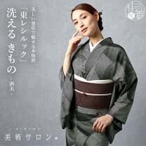 楽天市場】東レシルック 絽 黒の通販