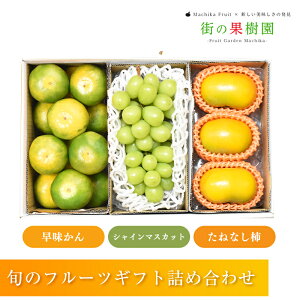 【のし対応可】送料無料 山梨 長野県産 シャインマスカット 福岡県産 みかん 和歌山 新潟県産 たねなし柿詰め合わせ フルーツ ギフト 送料無料 手土産 出産祝 誕生日 お供 お礼 快気祝 お祝