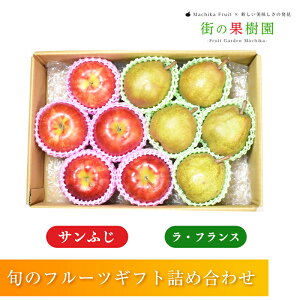 ŷΉz XY x Tӂ R`Y EtX e5-6ʁ@3kg t[cMtg Tӂ EtX R` t[c 荇킹 Tӂ X Ε y12