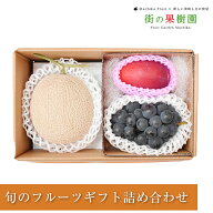 【のし対応可】送料無料 熊本 愛知県産 アールスメロン 沖縄 宮崎県産 完熟 マンゴー 岡山 山梨県産 ピオ…