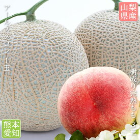 楽天市場 フルーツ 盛り合わせの通販