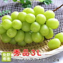 【のし対応可】皮ごと食べれる 送料無料 長野県産 シャインマスカット 2房 マスカット 種なし ブドウ ギフト 贈答用 プレゼント お祝い 内祝い