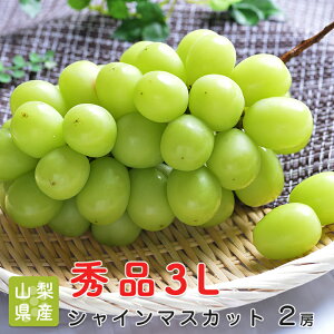 【のし対応可】皮ごと食べれる 送料無料 山梨県産 シャインマスカット 2房 マスカット 種なし ブドウ ギフト 贈答用 