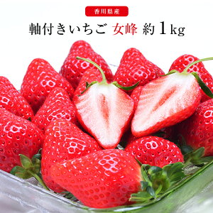 �y�̂��Ή��� / �C���X�^�Řb��I�z���쌧�Y ������ ���t�� ���� ��1�L�� ��l�ߔ� � �M�t�g ���� �v���[���g ���j�� �o�Y�j�� �t���[�c�M�t�g ���Ε� ���j��