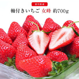 【のし対応可/インスタで話題！】香川県産 いちご 軸付き 女峰 約700グラム 手詰め箱 苺 ギフト 贈答 プレゼント 内祝い 出産祝い フルーツギフト お歳暮 お祝い