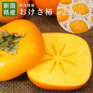 ŷΉz  VY H ` Ȃ` ` Gi 9-11 2.5kg j Mtg t[c j Ε y11{菇 z
