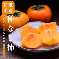 【のし対応可】送料無料 和歌山県産 たねなし柿 秀品 8-11玉 約2.5kg 柿 種無し柿 種なし柿 たねなし柿 …