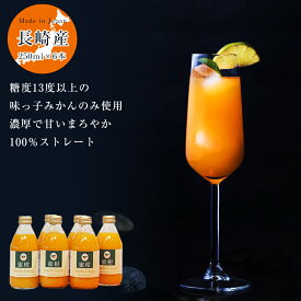 のし対応可 送料無料 長崎県産 味っ子ジュース 化粧箱 250ml×6本ジュース ギフト 無添加ストレート 贈答 プレゼント ジュース 内祝い 出産祝い フルーツギフト ジュース ギフト