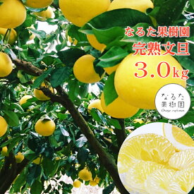 【のし対応可】 送料無料 高知県産 なるた果樹園 完熟文旦 6-8玉 約3kg ぶんたん 文旦 送料無料 文旦 高知 土佐文旦 贈答用 ギフト 贈答 プレゼント 内祝い 出産祝い フルーツギフト