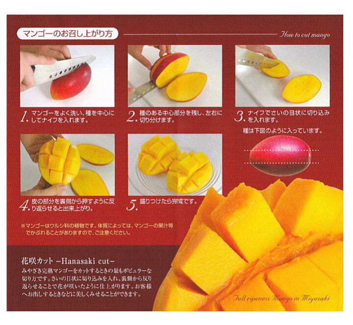 宮崎県産 太陽のタマゴ 2lサイズ２個 Sale 96 Off
