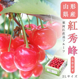 送料無料 寒河江より直送 山形県産 さくらんぼ 紅秀峰 2Lサイズ 約500g さくらんぼ 送料無料 贈答 プレゼント 内祝い 出産祝い フルーツギフト ギフト お中元 出産祝 お祝い 粗品 果物 季節の果物 フルーツ くだもの