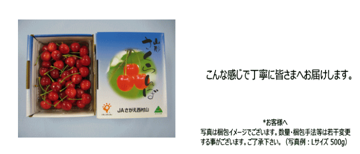 佐藤錦　山形県寒河江市より直送！ 楽天市場】送料無料 寒河江より直送 山形県産 さくらんぼ 佐藤錦
