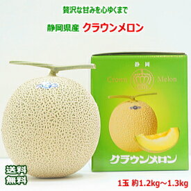 送料無料 静岡県産 クラウンメロン 1玉 約1.2〜1.3kg